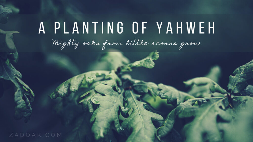 A planting of Yahweh